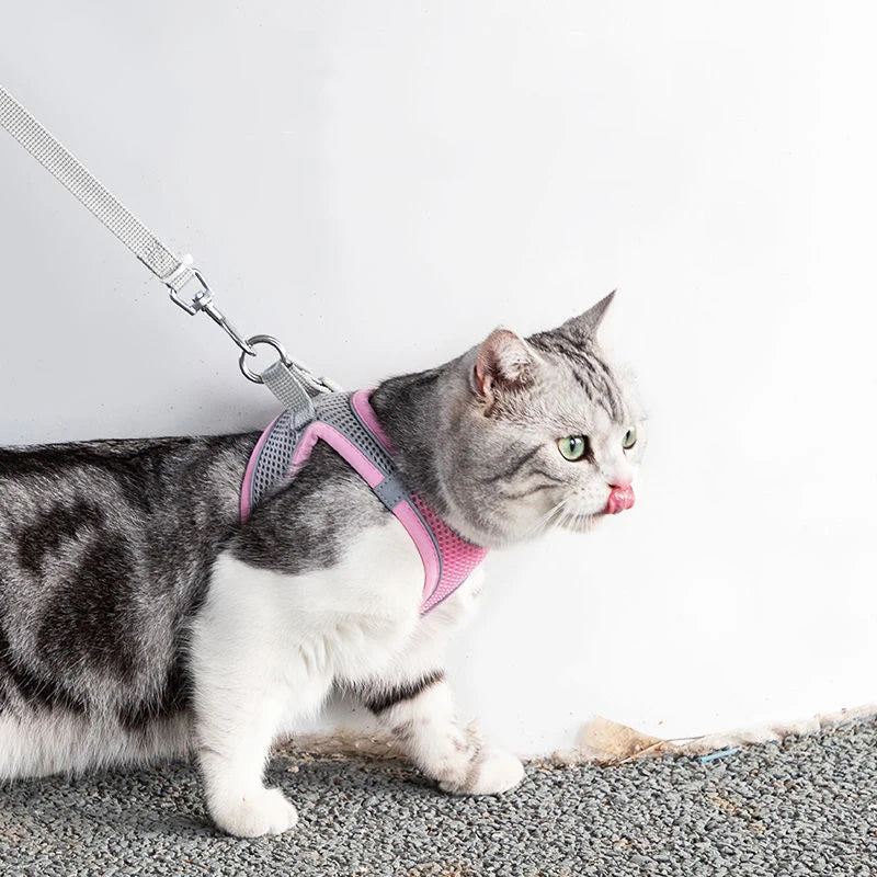 AdventurePaw: Adjustable Cat Harness and Leash Set