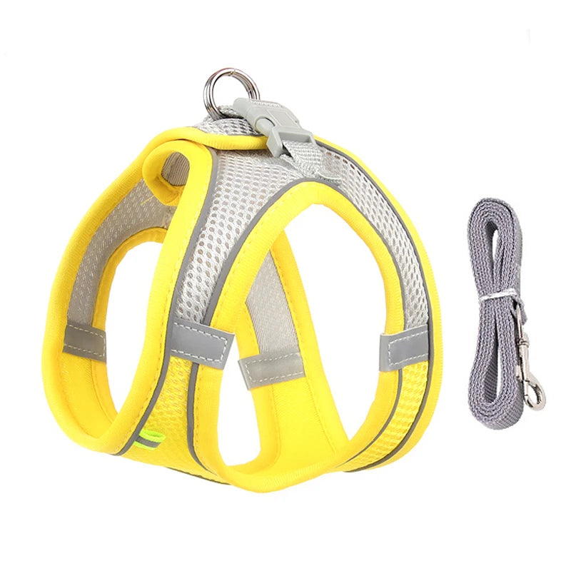 AdventurePaw: Adjustable Cat Harness and Leash Set
